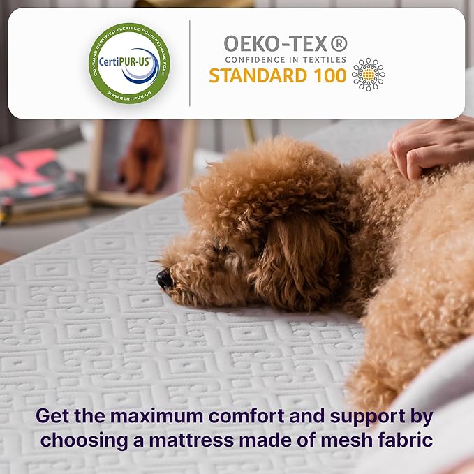 NapQueen Queen Mattress, 10 Inch Elizabeth Cooling Gel Memory Foam Mattress, Queen Bed Mattress in a Box, CertiPUR-US Certified, Medium Firm, Breathable Soft Fabric Cover