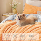 BEDELITE Fleece Queen Comforter Set -Super Soft & Warm Fluffy Coral Bedding, Luxury Fuzzy Heavy Bed Set for Winter with 2 Pillow Cases