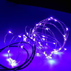Karlling USB Plug in LED Fairy Lights,2 Packs of 50 LED Bulbs 16 Ft Silver Wire Waterproof Starry String Lights for Bedroom Patio Garden Party Wedding Commercial Lighting (Purple)
