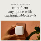 Drift Home Scent Diffuser Refills in Grove (2 Refills) - Adjustable and Long Lasting Diffuser Aroma - Clean Ingredients, Pet Safe