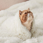 Bedsure GentleSoft Fluffy Cream Throw Blanket Decorative Blankets for Bed Couch Sofa, Cream Decor Sherpa Fleece Soft Cozy Fuzzy Plush Thick Warm Faux Fur Decorations, Ivory Baby Girl Gifts, 50x60