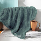 Exclusivo Mezcla Plush Fuzzy Fleece Bed Blanket Queen Size, Super Soft, Fluffy and Warm Blankets Suitable for All Seasons (Celadon, 90x90 Inches)