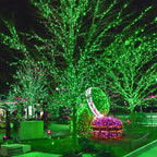 300 LED St Patricks Day Lights, 98.5FT Christmas String Lights with 8 Lighting Modes, Waterproof & Connectable Mini Lights, Plug in for Indoor Outdoor Holiday Xmas Party Bedroom Decorations (Green)