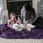 Bedsure Fleece Blanket Twin Blanket Purple - 300GSM Soft Lightweight Plush Cozy Twin XL Blankets for Bed, Sofa, Couch, Travel, Camping, 66 inch X 90 inch