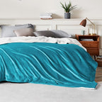 Bedsure GentleSoft Sherpa Fleece Blankets Queen Size for Bed - Thick and Warm Throw for Women and Men, Soft Fuzzy Plush Queen Blanket for Winter, Teal, 90x90 Inches