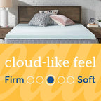 Sealy TrueForm 2" Memory Foam Mattress Topper, King, Blue