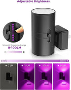 L LOHAS LED [2 Pack] Halloween Purple Night Light, Light Plug in with Sensor, Adjustable Brightness, Dimmable Lights Decorative for Christmas, Holiday, Home Decor, Party Bathroom