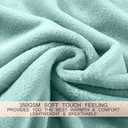 Soft Queen Size Blanket for All Season Warm Fuzzy Microplush Lightweight Thermal Fleece Summer Autumn Fall Winter Spring Blankets for Queen Full Bed Couch Sofa,90x90 Inches,Sage Green