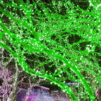 Battery Operated String Lights with Remote Timer - Waterproof, 8 Modes, Green (16.4ft), Indoor/Outdoor Decorations for Bedroom, Garden, Party, Xmas Tree