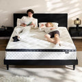 Queen Mattress in a Box, 14 Inch Hybrid Mattress with Individual Pocket Spring & Memory Foam, Motion Isolation, Medium Firm Comfort for Pressure Relief, CertiPUR-US Certified