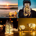 ANJAYLIA Fairy Lights, 2 Pack String Lights Battery Operated 33ft 100 LED Twinkle Lights for Wedding, Party, Christmas, Warm White