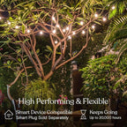 Brightech Ambience Pro LED String Lights - 26 Ft Patio Lights Outdoor Waterproof - Globe Porch String Lights for Outside, Christmas, Backyard - 12 Bulbs, 1W Vintage Edison, Warm White Black