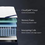 DreamCloud Classic 12" California King Mattress - Luxury Hybrid Gel Memory Foam - 365 Night Trial - Fiberglass Free - Forever Warranty - Mattress in a Box - CertiPUR-US Certified