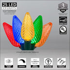 Wintergreen Lighting 25 C9 Multicolor LED Christmas Lights, 17 Ft – Outdoor C9 Christmas Lights for Holiday, Party, and Yard Decor