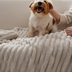 Bedsure GentleSoft Twin XL Blanket for Couch - Cozy Soft Blankets for Women, Cute Small Fleece Throws for Girls, Linen, 66x90 Inches
