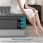 Twin Hybrid Mattress, 10 Inch Medium Mattress Euro Top for Back & Lumbar Support, Individual Pocket Spring Bed for Motion Isolation & Pressure Relief