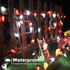 Brizled Red & White Christmas Lights, 66ft 100 LED C9 Faceted Christmas Lights, Connectable Outdoor Strawberry String Light, 120V UL Certified Indoor Xmas Light for Tree House Garden Party & Holiday
