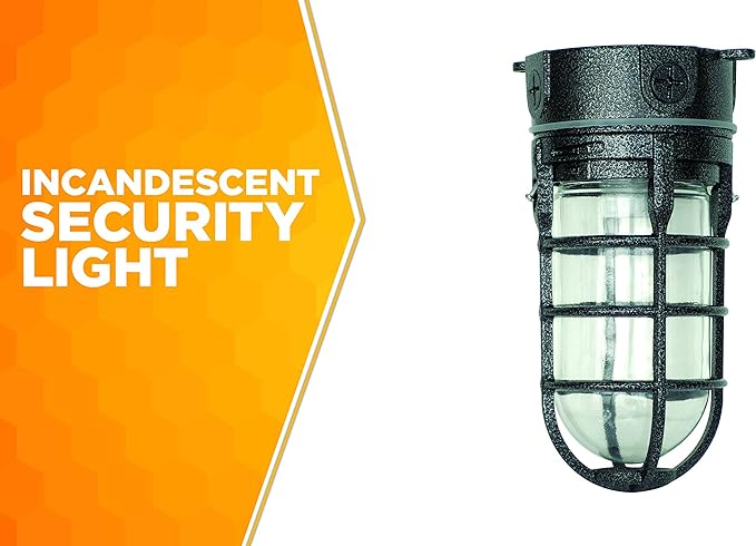 Woods L1706BLK Vandal Resistant 150W Incandescent Security Light, Ceiling Mount, Hammered Black