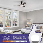 Cotanic Ceiling Fan Light Bulb 5000K Daylight A15 LED Bulb,E26 Medium Base Chandelier Light Bulb, 6W 60W Equivalent,600lm,Non-Dimmable,6 Pack