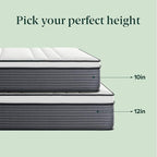 ZINUS 12 Inch True Support Hybrid Mattress [New Version], Queen, Fiberglass Free, Medium Feel, Motion Isolation, Certified Safe Foams & Fabric, Mattress in A Box
