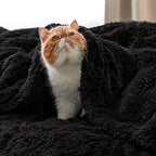 Bedsure GentleSoft Fuzzy Sherpa Faux Fur Twin Blanket Black Cozy Gifts for Women Men, Soft Fleece Plush Warm Minky Thick Blanket Twin Size for Bed, Couch, Dorm Essentials Black Decor Gifts, 60x80