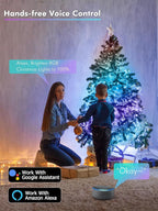 BrizLabs Smart Christmas Fairy Lights, 33ft 100 LED Color Changing Christmas Lights Work with Alexa & Google Home, Rainbow Xmas Light Dimmable Xmas Tree Lighting Green Wire for Xmas Halloween Party