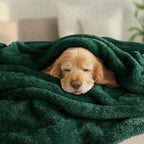 Exclusivo Mezcla Plush Fuzzy Fleece Bed Blanket Queen Size, Super Soft, Fluffy and Warm Blankets Suitable for All Seasons (Forest Green, 90x90 Inches)