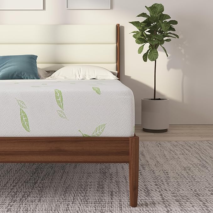NapQueen Twin Size, 8 Inch Anula Green Tea Infused Memory Foam Mattress, Bed in a Box, CertiPUR-US Certified Mattress
