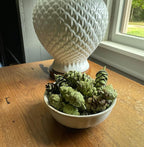 Hillhouse Naturals Birchwood & Spruce 8oz Potpourri Green Pine Cones. Solitude of Winter with fragrances of Aspen Birchwood, Spruce and Bergamot. Made in The USA.