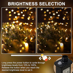 RPGT Christmas Light 100 LEDs 41ft Green Cable Wire Fairy String Twinkle Lights Plug in 12 Modes for Xmas Tree, Party, Indoor,Outdoor, Garden, Wedding, Home Decoration (Warm White)