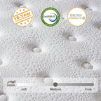 Queen Mattress, 10 Inch Hybrid Mattress in a Box, Memory Foam and Individual Pocket Springs, Fiberglass Free, Soft and Breathable, Medium Firm Feel