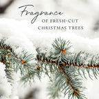 Thymes Reed Diffuser Oil Refill - Diffuser Oils Scents for Home Refill - Use for Reed Stick Room Air Fresheners (Frasier Fir, 7.75 fl oz)