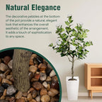5Ft Artificial Camellia Tree in White Pot, White Faux Plant Indoor Outdoor (61"), Tall Flower Plant for Porch & Living Room Office Decor