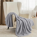 Bedsure GentleSoft Twin Blanket for Couch - Cozy Soft Blankets for Women, Cute Small Fleece Throws for Girls, Light Grey, 60x80 Inches