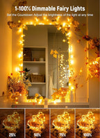 Minetom Twinkle Fairy Lights, 33 ft 100 LED USB Plug in String Lights with Remote and Timer, Waterproof 8 Modes for Bedroom Indoor Wreath DIY Party Wedding Christmas Holiday Decoration