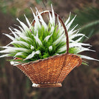 12 Bundles Outdoor Artificial Plants Flowers UV Resistant Fake Grass Plants Tropical Faux Bushes Shrubs for Home Front Porch Outside Planter Garden Landscape Décor