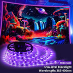 20ft Black Light Strip with Remote, 360 LED Lamp Beads, 12V Flexible Lights for Glow Party, Adjust Brightness, Delay Off, 3 Light Modes, Indoor Fluorescent Party, Stage Lighting