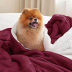 Bedsure GentleSoft Sherpa Fleece Throw Blanket for Couch - Thick and Warm Throw for Girls and Women, Soft Fuzzy Plush Christmas Blanket for Winter, Burgundy, 50x60 Inches