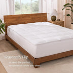 Bare Home Queen Microplush Mattress Topper - Pillow Top Reversible - Soft Mattress Cover - Dual Sided All-Season - 8" to 24" Deep Pocket - Fitted Cover - Plush Mattress Pad (Queen)