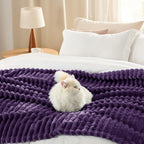 Bedsure GentleSoft Purple Fleece Blanket for Couch - Cozy Soft Blankets for Women, Cute Small Throws for Girls, 90x90 Inches