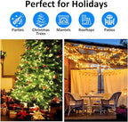 LIDORE Super Bright Clear Mini Christmas Tree String Lights, Gift for Decoration, 21.45FT 100 Count Bulbs with Green Cord, UL Listed Indoor Outdoor Lighting for Holiday (Green Cable, 2-Pack)