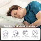 NapQueen Twin Size, 8 Inch Anula Green Tea Infused Memory Foam Mattress, Bed in a Box, CertiPUR-US Certified Mattress