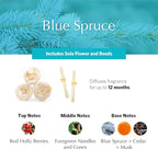 AGRARIA AirEssence & PetiteEssence Flower and Reed Diffuser Set, Luxury Home Fragrance Set, Scented Oil Reed Diffuser Gift for All Occasions