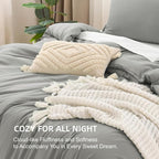 Litanika Comforters Medium Gray Queen Size, 3 Pieces Lightweight Solid Bedding Set & Collections, All Season Fluffy Bed Set (90x90In Comforter & 2 Pillowcases)
