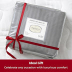 Mellanni Queen Sheets Set - 4 PC Iconic Collection Bedding - Hotel Luxury, Extra Soft, Cooling Bed Sheets - Wrinkle, Fade, Stain Resistant (Queen, Striped Gray/Silver)