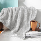 Exclusivo Mezcla Plush Fuzzy Fleece Bed Blanket Queen Size, Super Soft, Fluffy and Warm Blankets，Suitable for All Seasons (Light Grey, 90x90 Inches)
