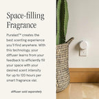 Pura & Illume Home Scent Refill - Smart Air Diffuser - Up to 120-Hours of Luxury Fragrance per Refill - Home Essential - Clean & Safe Diffuser Fragrance - 2 Pack, Balsam & Cedar