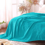BEDELITE Fleece Blanket Teal Throw Blanket for Couch & Bed, Luxury Plush Cozy Fuzzy Blanket 50" x 60", Super Soft Warm Lightweight Throw Blanket for Travel Camping