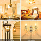 Cotanic E12 LED Bulb Dimmable 3000K Soft White, LED Candelabra Bulbs 60Watt Equivalent, Small Base Type B Light Bulbs, Candle Shape Chandelier Light Bulbs Clear Glass, 600LM, 12 Pack