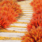 Geegoods 24 Bundles Artificial Fall Flowers Outdoor – Faux Lavender Flowers with Monkey Grass UV Resistant Plastic Faux Plants for Garden Porch Patio Home Decor, Autumn-Orange Color